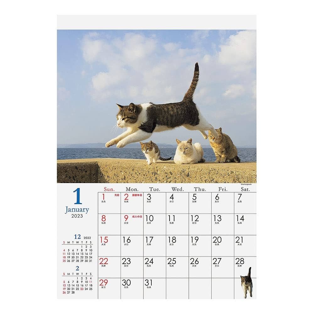 Amazon | アートプリントジャパン 2023年 飛び猫 カレンダー